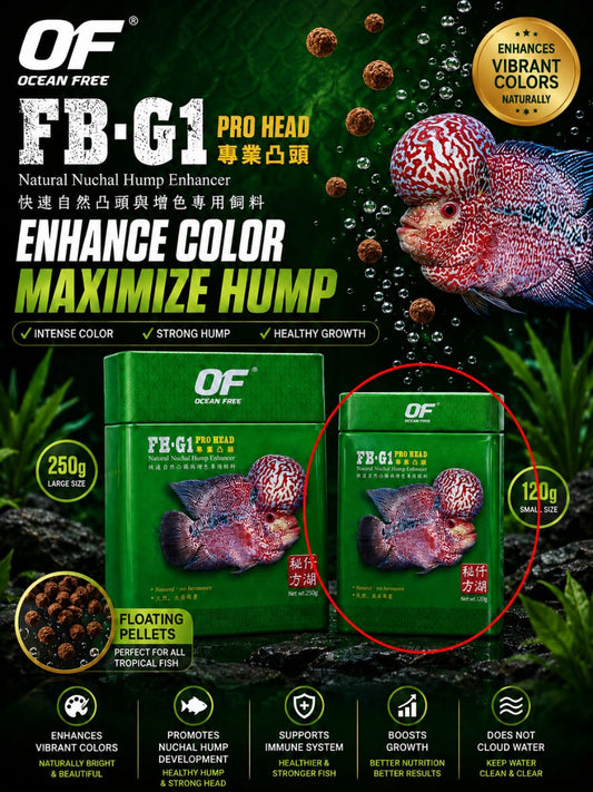 OCEAN FREE FB-G1 PRO HEAD 120G